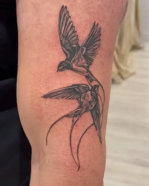 Black and grey swallow in flight on an arm